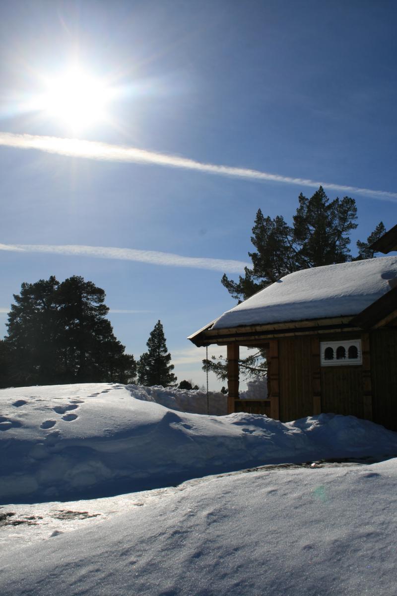 Hytte i sol — Rauland