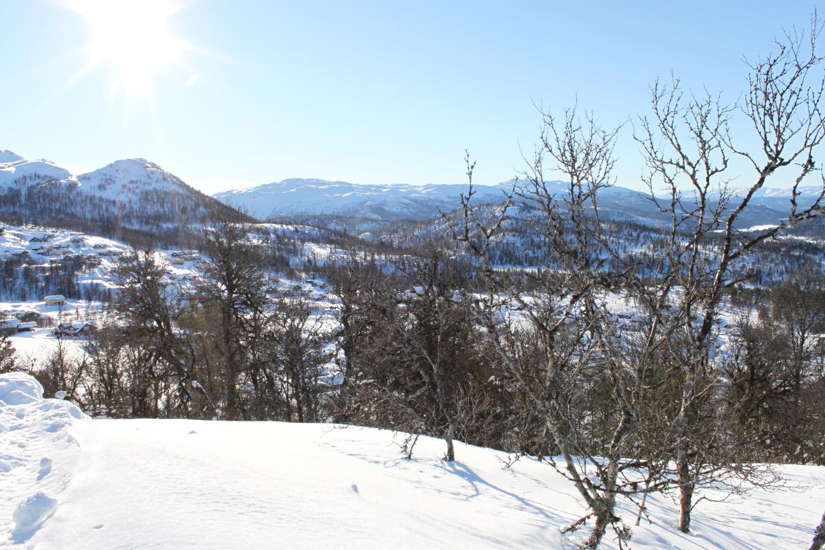 Områdebilde 28