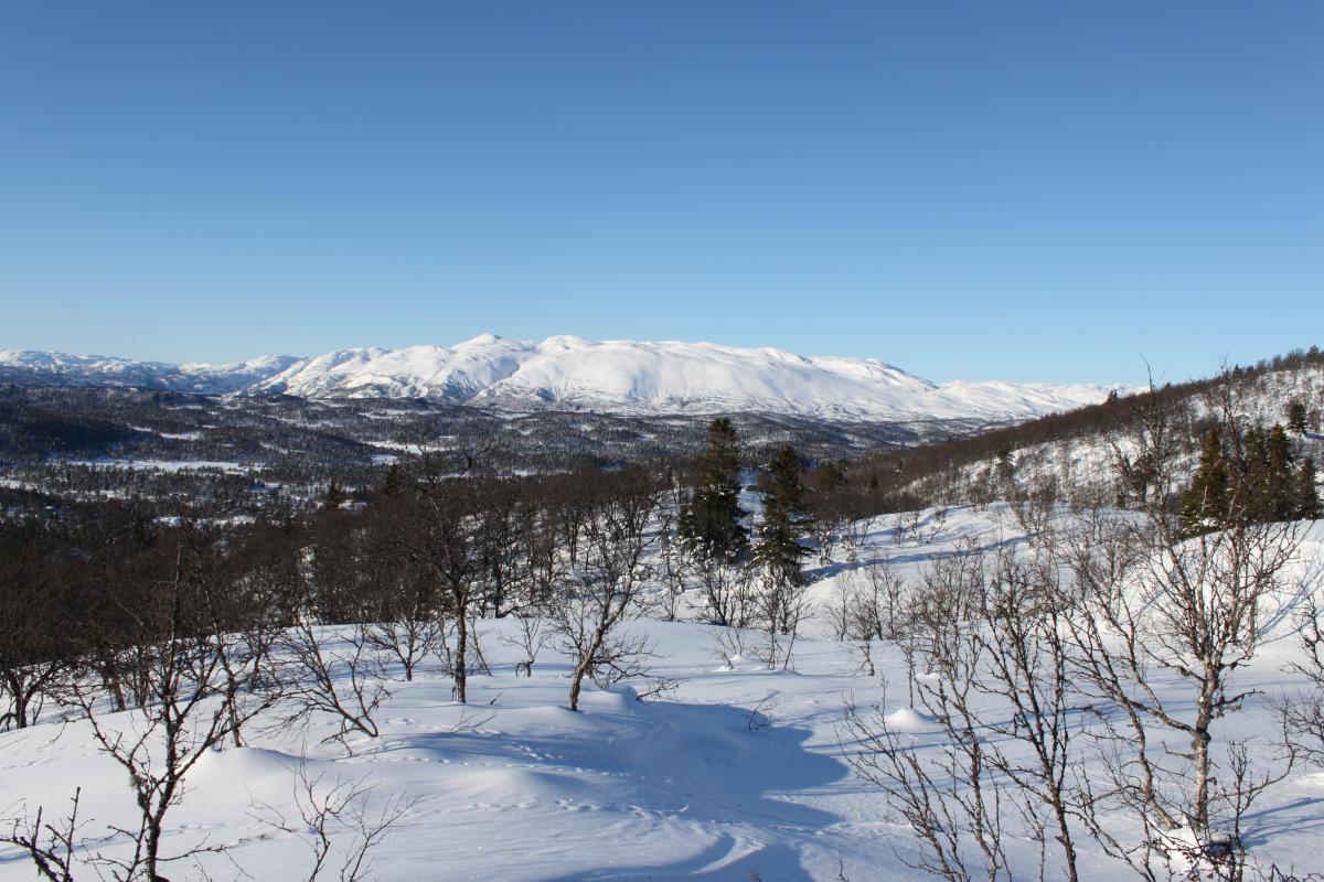 Områdebilde 19